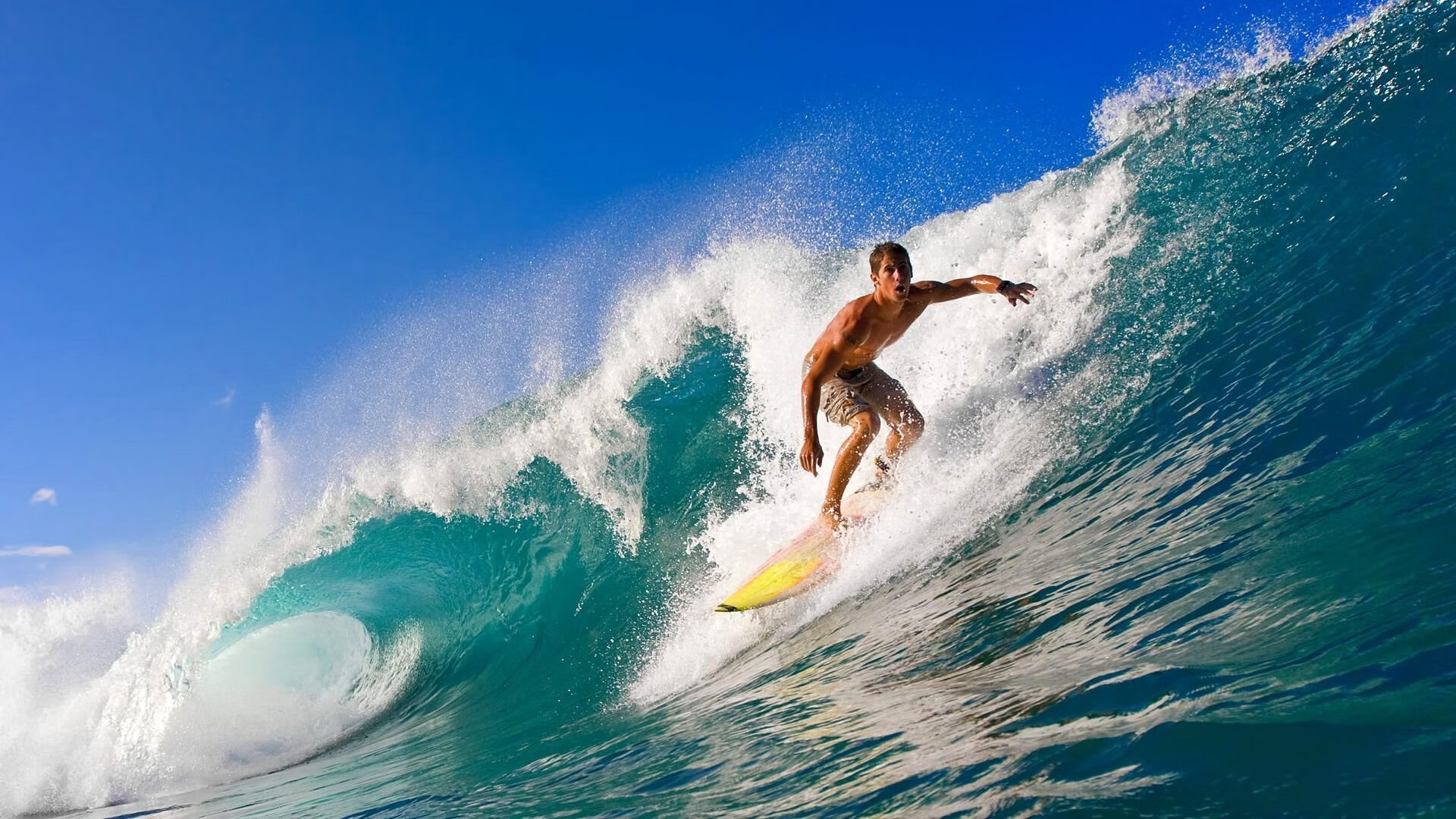 体育文化全球交流